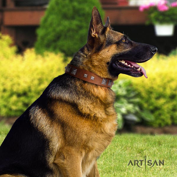 German Shepherd easy to adjust full grain genuine leather dog collar with awesome adornments