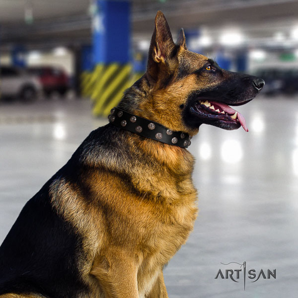 German Shepherd easy to adjust natural genuine leather dog collar with fashionable embellishments