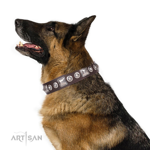 German Shepherd incredible full grain genuine leather dog collar for basic training title=German Shepherd genuine leather collar with studs for handy use