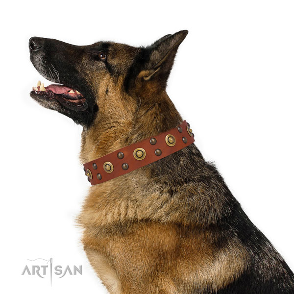 German Shepherd exquisite genuine leather dog collar for daily use title=German Shepherd full grain natural leather collar with studs for everyday use