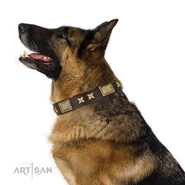 German Shepherd unusual full grain genuine leather dog collar for fancy walking title=German Shepherd full grain natural leather collar with studs for handy use