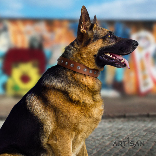 German Shepherd easy wearing natural genuine leather dog collar with fashionable studs
