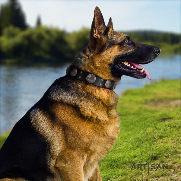 German Shepherd easy wearing genuine leather dog collar with top notch decorations