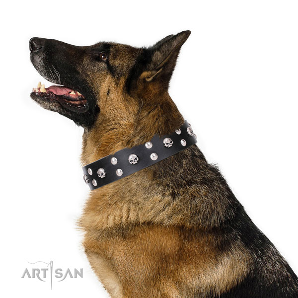 German Shepherd unusual leather dog collar for everyday walking title=German Shepherd leather collar with decorations for handy use
