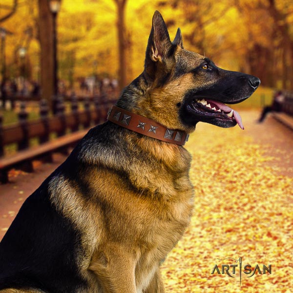 German Shepherd best quality natural genuine leather dog collar with unusual adornments