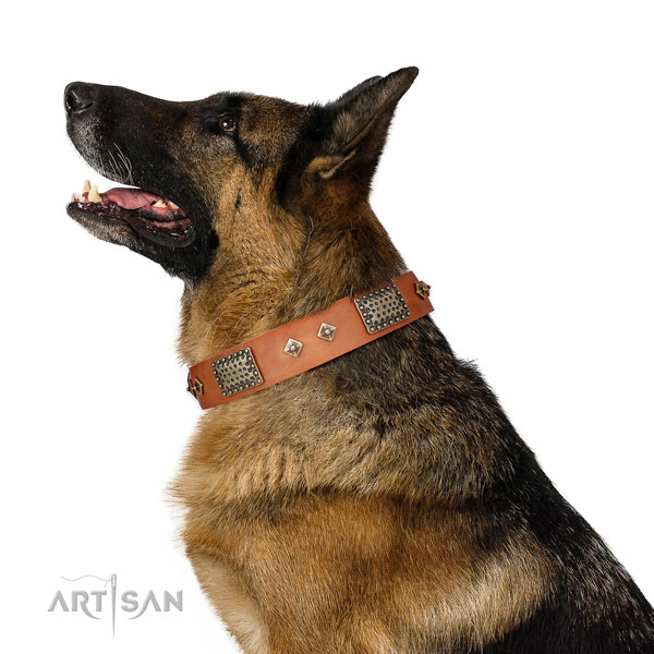 German Shepherd comfortable genuine leather dog collar for daily use title=German Shepherd genuine leather collar with adornments for daily walking