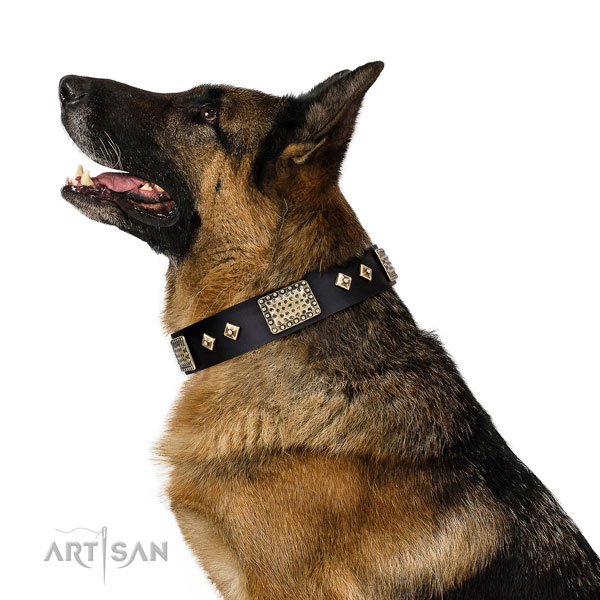 German Shepherd top quality leather dog collar for daily use title=German Shepherd full grain leather collar with decorations for stylish walking