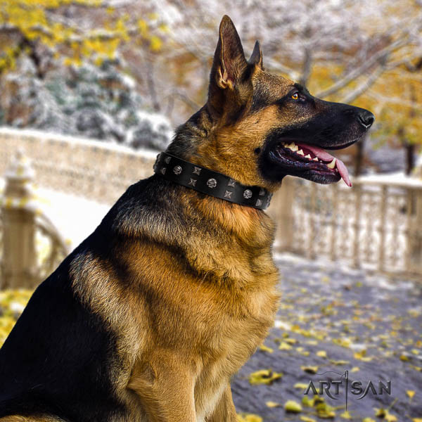 German Shepherd comfortable genuine leather dog collar with stunning decorations