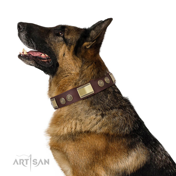 German Shepherd stunning full grain natural leather dog collar for everyday use title=German Shepherd genuine leather collar with decorations for comfy wearing