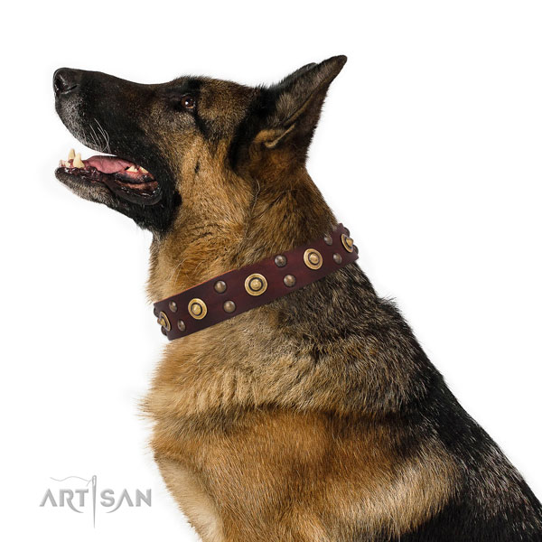 German Shepherd adjustable full grain leather dog collar for everyday walking title=German Shepherd leather collar with decorations for daily use
