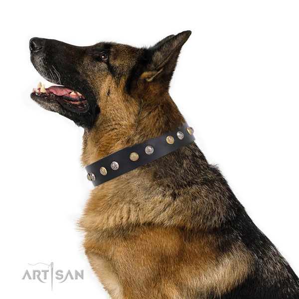German Shepherd stylish design full grain leather dog collar for easy wearing