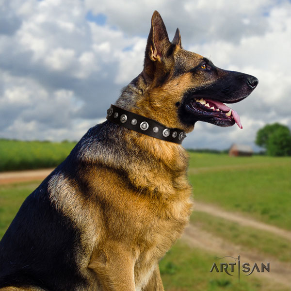 German Shepherd adorned natural genuine leather dog collar for your lovely canine