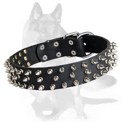 Flexible leather collar decorated with silver spikes