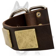Leather collar with nickel plated details