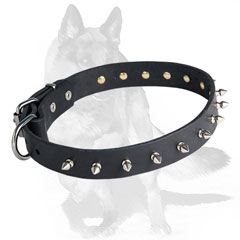 dog collar