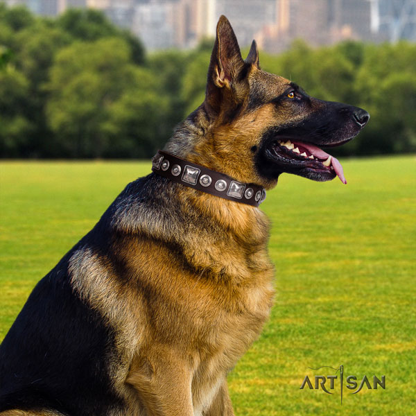 German Shepherd convenient leather dog collar