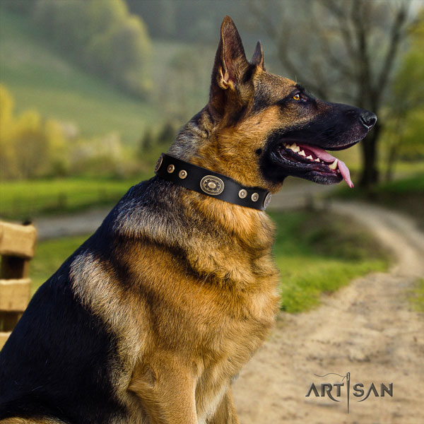 German Shepherd easy wearing full grain genuine leather dog collar