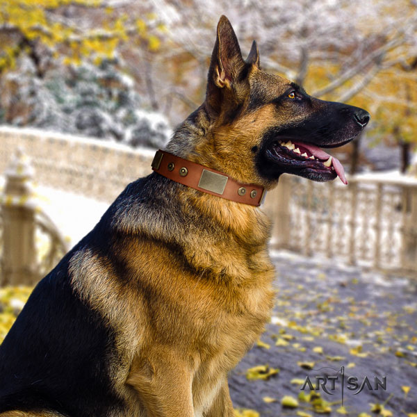 German Shepherd adorned full grain genuine leather dog collar for your beautiful dog