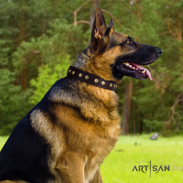 German Shepherd decorated natural genuine leather dog collar for your attractive four-legged friend