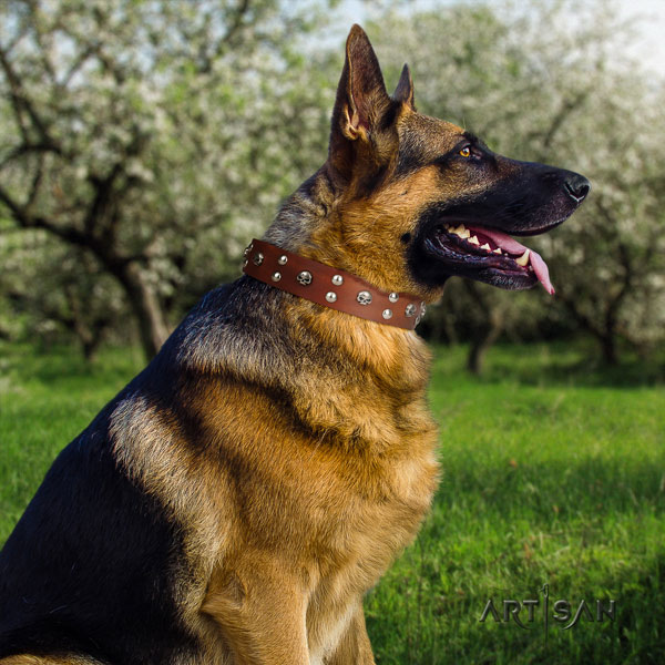German Shepherd easy adjustable natural genuine leather dog collar