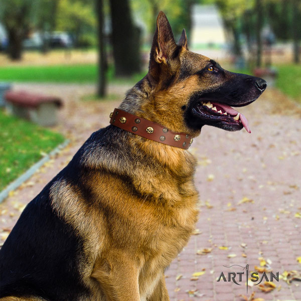 German Shepherd awesome full grain leather dog collar