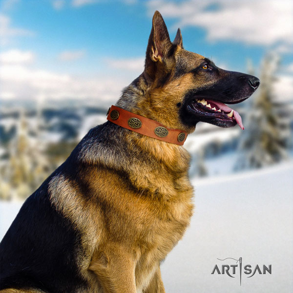 German Shepherd adorned natural genuine leather dog collar for your impressive dog