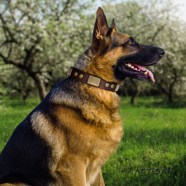 German Shepherd adorned full grain natural leather dog collar for your handsome four-legged friend