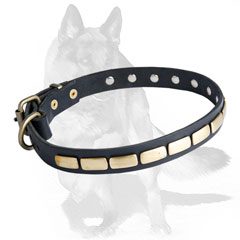 dog collars studded
