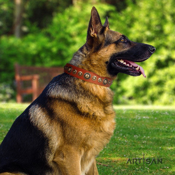 German Shepherd perfect fit full grain natural leather dog collar