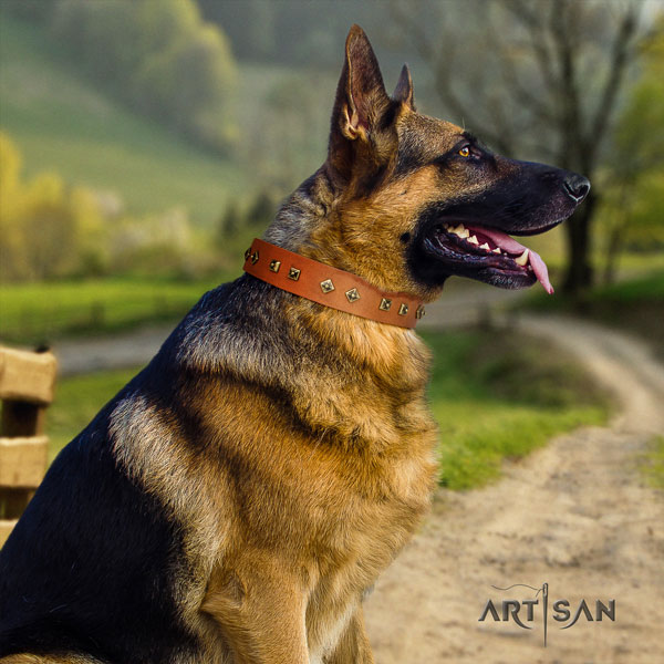 German Shepherd embellished full grain leather dog collar for your handsome doggie