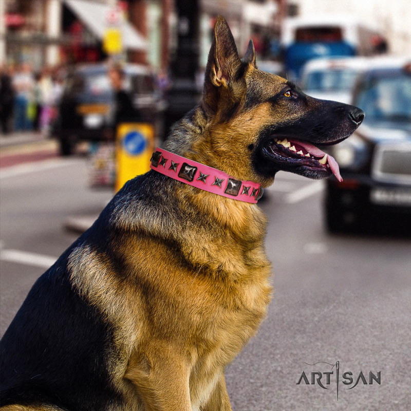 From Paris with Love Handmade FDT Artisan Pink Leather Swiss Mountain Dog  Collar with Dotted Pyramids [C642#1116 Handcrafted FDT Artisan Pink Leather  Swiss Mountain Dog Collar] : Swiss Mountain Dog Breed: Dog