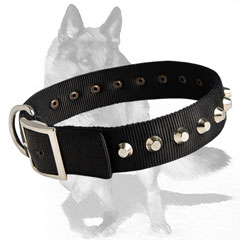 Non-rusting nylon collar with nickel studs 