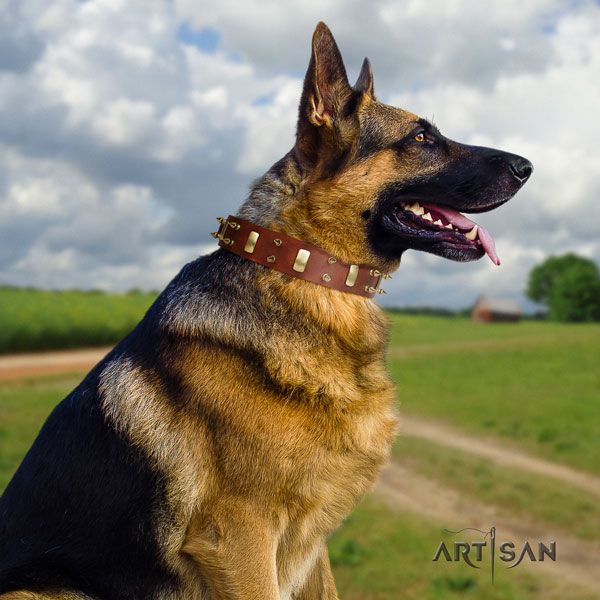 German Shepherd trendy genuine leather dog collar