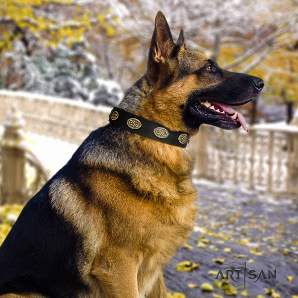 German Shepherd adorned full grain genuine leather dog collar for your handsome doggie