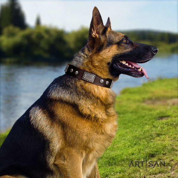 German Shepherd embellished full grain genuine leather dog collar for your impressive doggie
