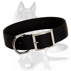 Comfortable all weather nylon collar 