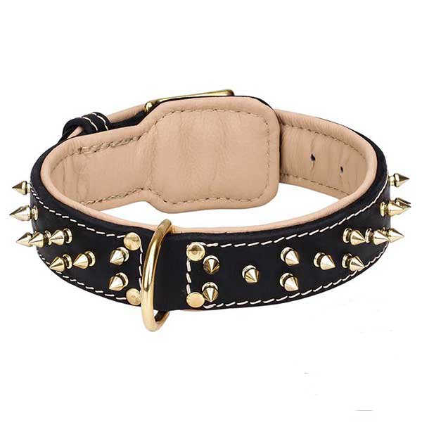 Leather Spiked Dog 【Collar】 with Nappa Padding for Comfort : German ...