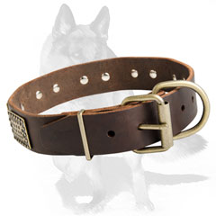 Leather collar with nickel plated hardware