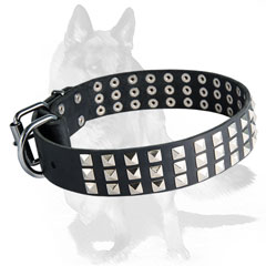 Leather  collar with sturdy hardware