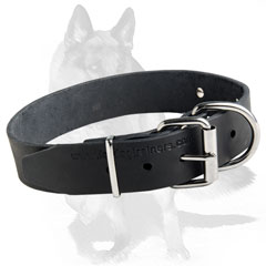 Leather collar with durable hardware 