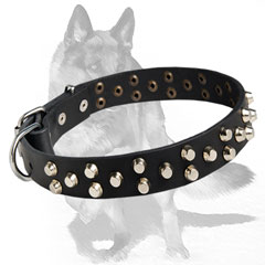 Great Quality Leather Collar for your Dog