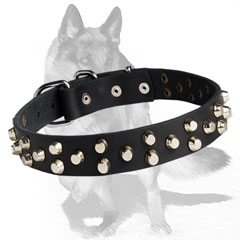 Studded Leather Dog Collar with robust rust-proof buckle