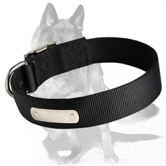 Secure Nylon Dog Collar with rust-proof buckle