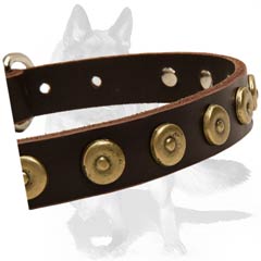 Safe Collar with steel nickle plated hardware