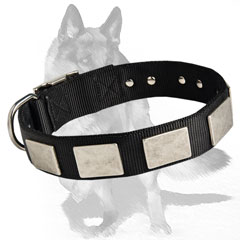 Durable Collar Stitched with nylon thread
