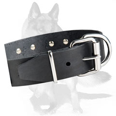 Dog Collar with securely riveted hardware