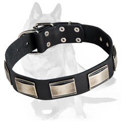 Heavy-duty Leather Collar with welded dee ring