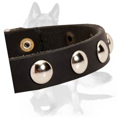 Non-rusting leather collar with nickel studs 