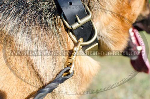 German Shepherd leather collar with brass buckle and D-ring