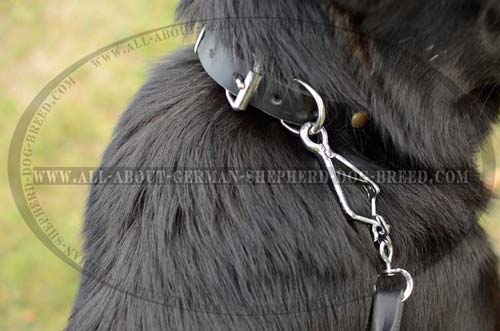 Reliable leather collar for German Shepherd